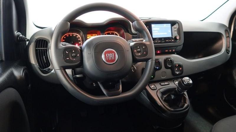 FIAT Panda Panda 1.0 firefly hybrid City Life s&s 70cv 5p.ti