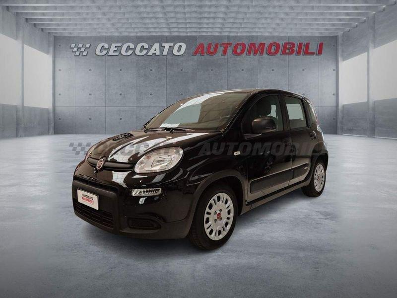 FIAT Panda Panda 1.0 firefly hybrid s&s 70cv