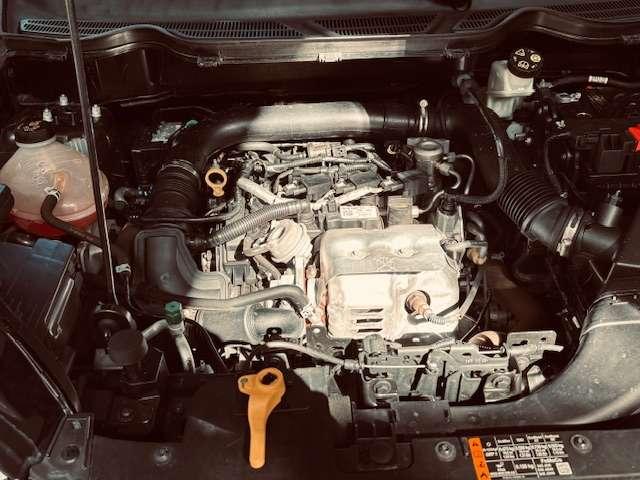 Ford EcoSport EcoSport 2019 1.0 ecoboost ST-Line Black Edition 100cv my19