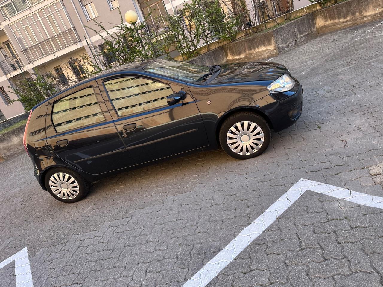 Fiat Punto 1.2 5 porte Active