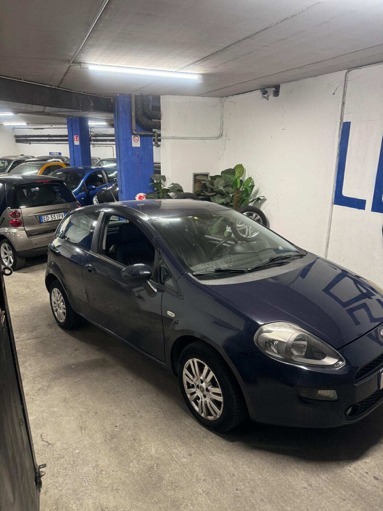 Fiat Punto Evo Punto Evo 1.2 3 porte S&S Active