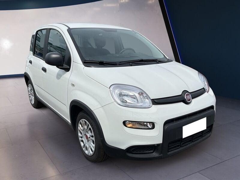 FIAT Panda My23 1.0 70cv Hybrid Panda