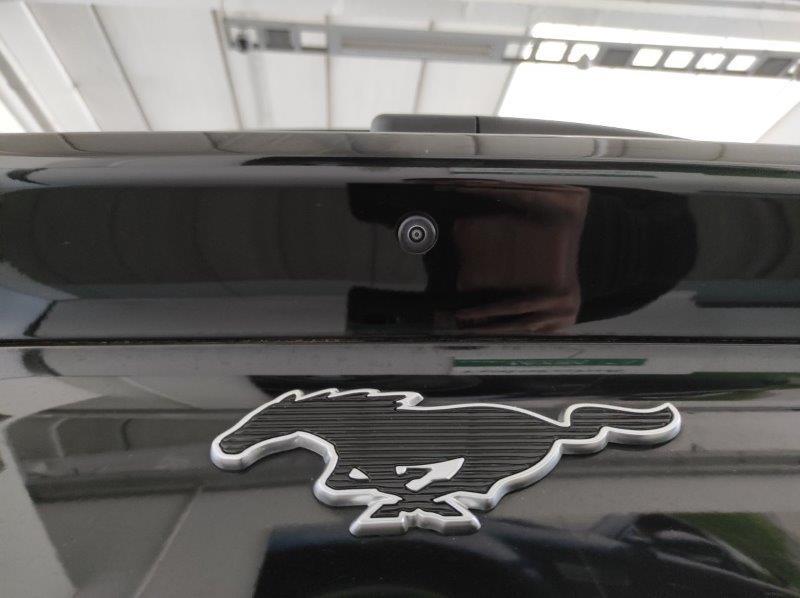 FORD Mustang Mach-E - Mustang Mach-E Standard Range 268 CV