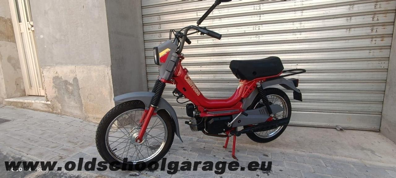 Atala Altro Califfone Rizzato