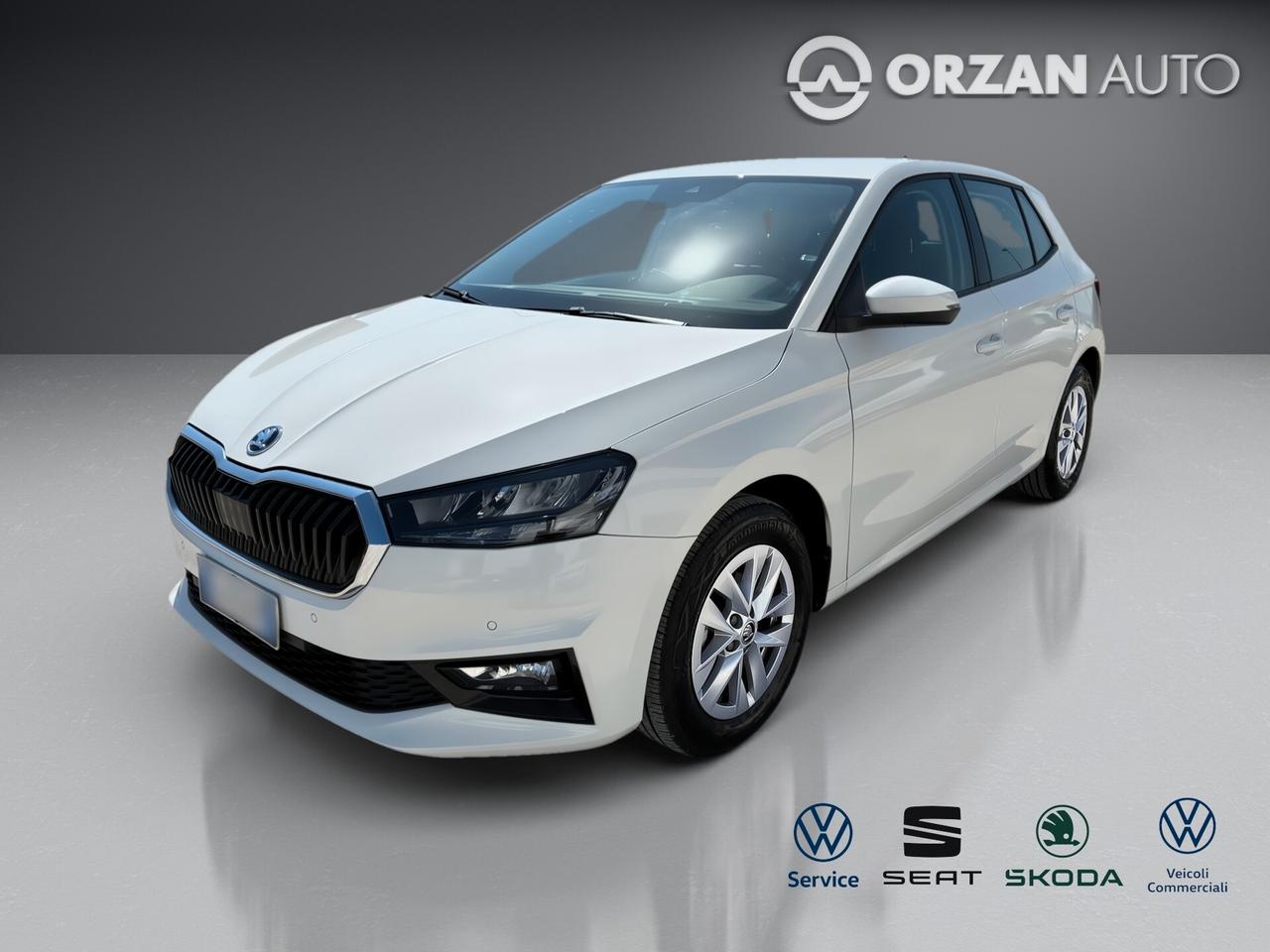 Skoda Fabia 1.0 TSI 95 CV Ambition VENDITE 3491558563 - 3478673115