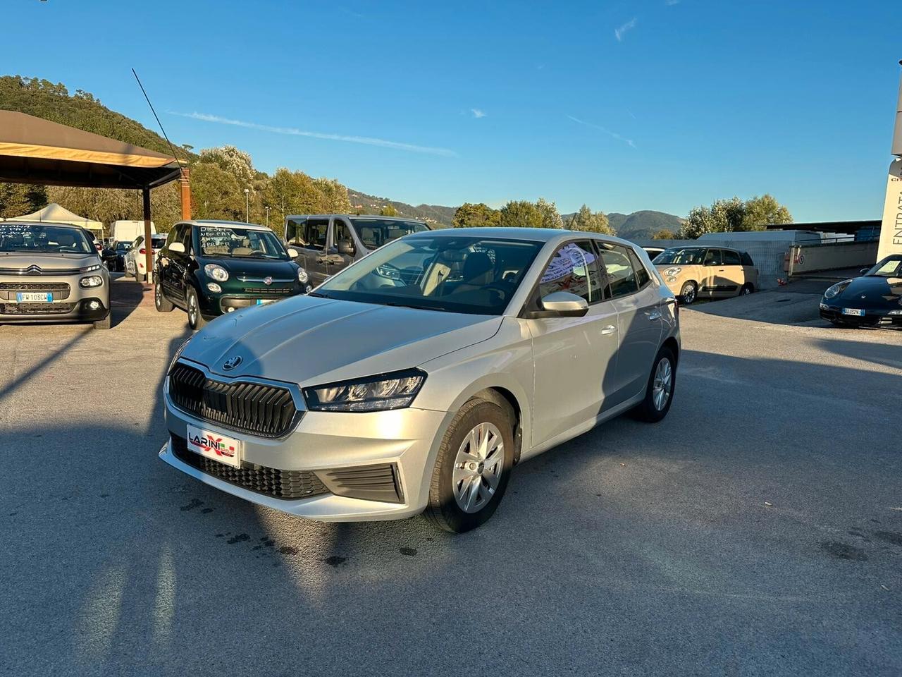 Skoda Fabia 1.0 TSI EVO 95 CV Ambition