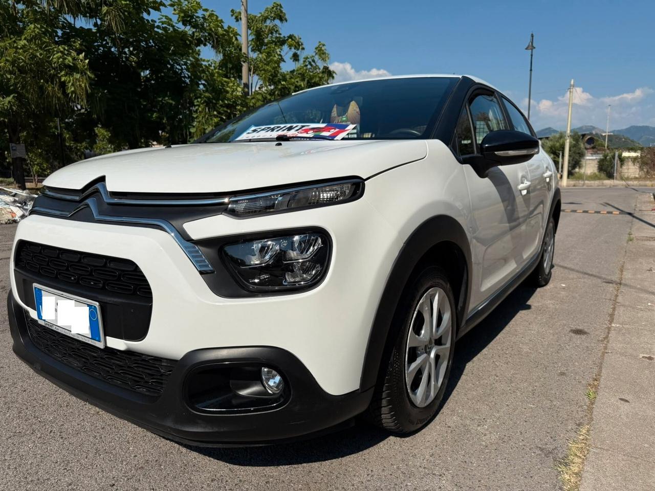 Citroen C3 BlueHDi 100 S&S Van 2 posti