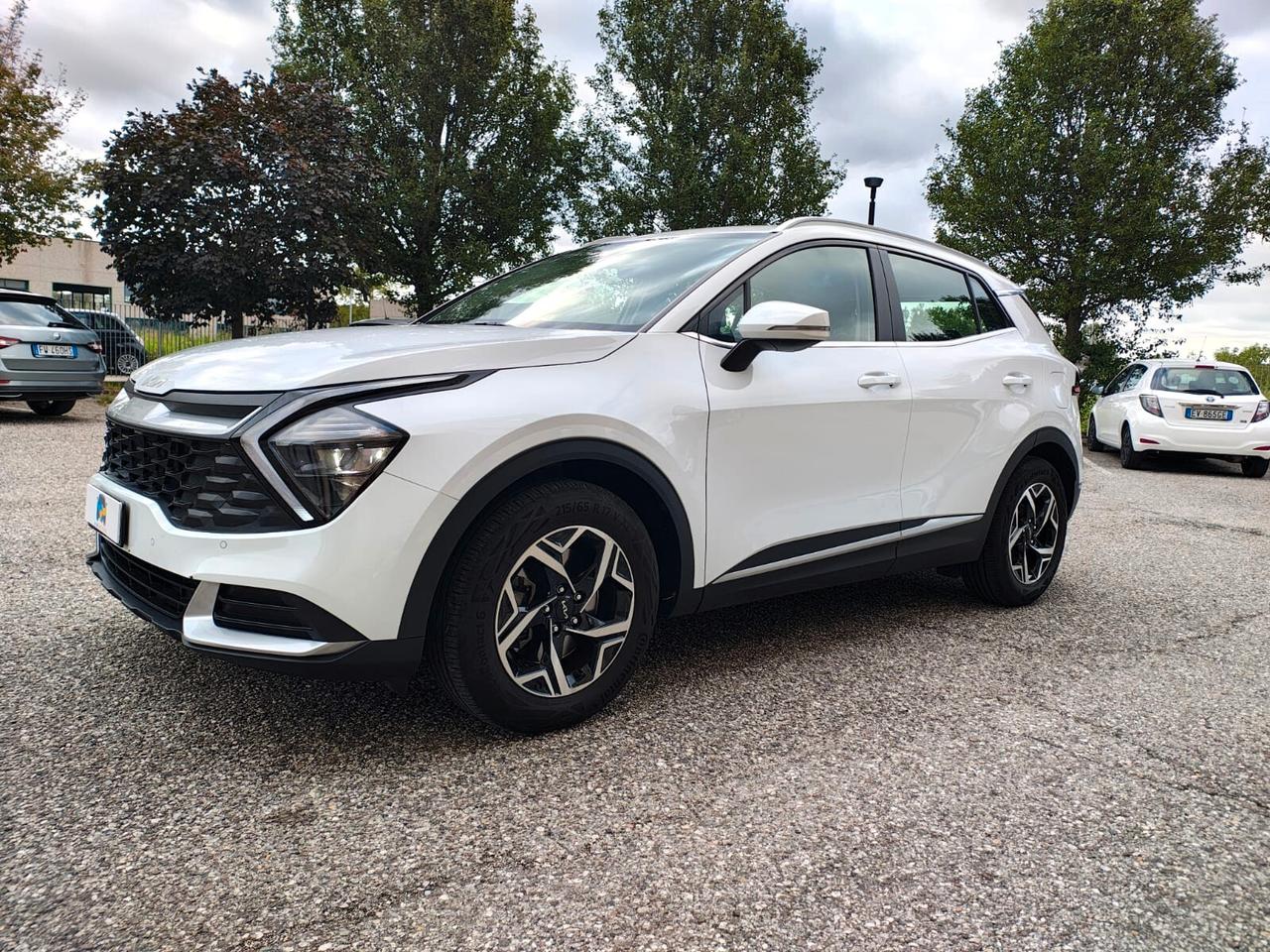 Kia Sportage 1.6 CRDi MHEV DCT Business-Garanzia Ufficiale casa Madre