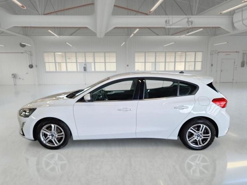 FORD FOCUS 1.0 EcoBoost 125cv Business 5 PORTE