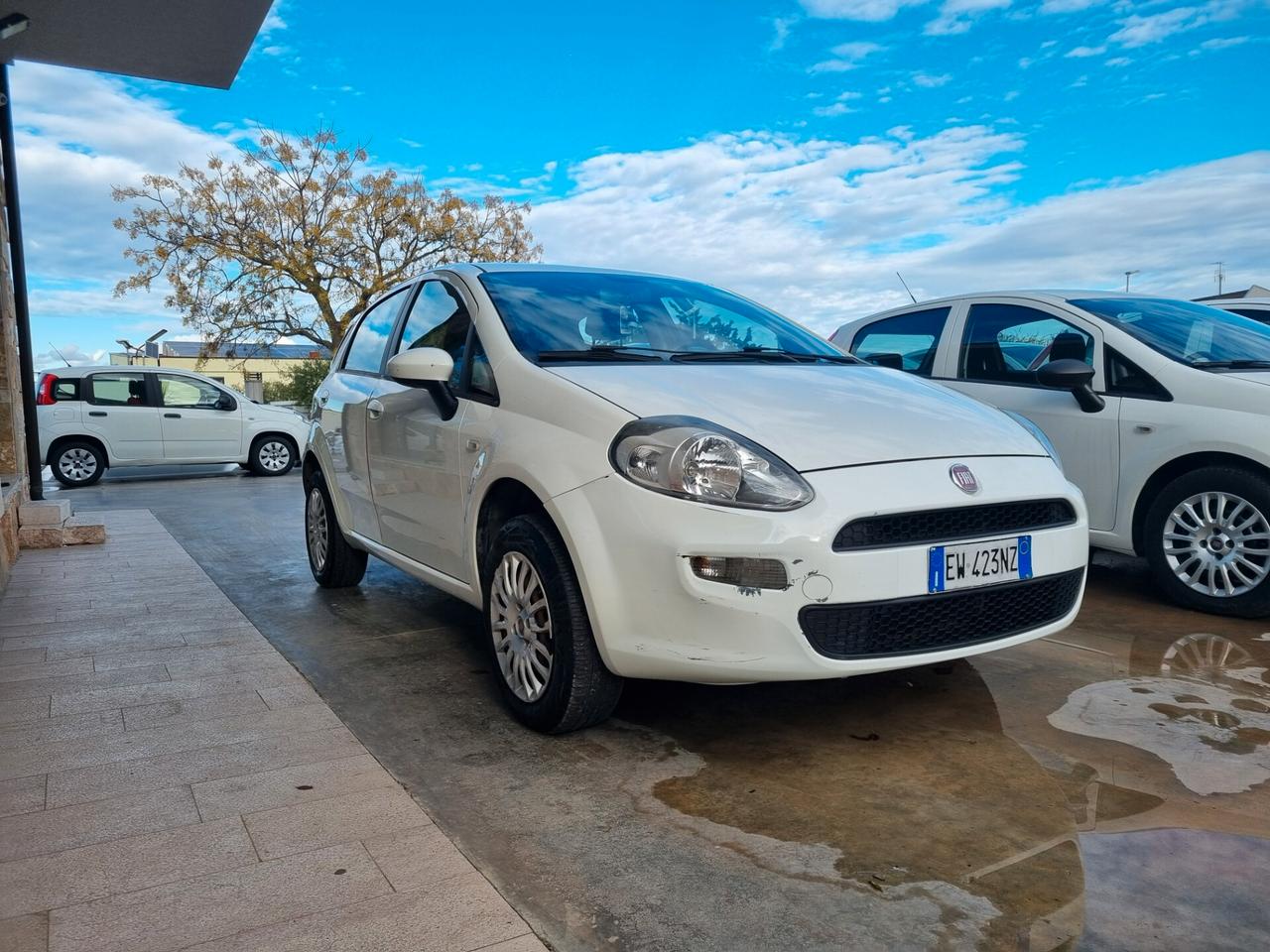 Fiat Punto 1.4 8V 5 porte Natural Power Street