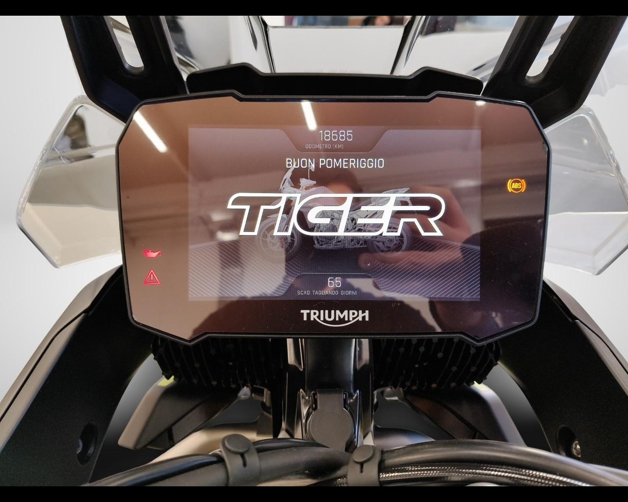 TRIUMPH Tiger 900 - Rally Aragòn Edition