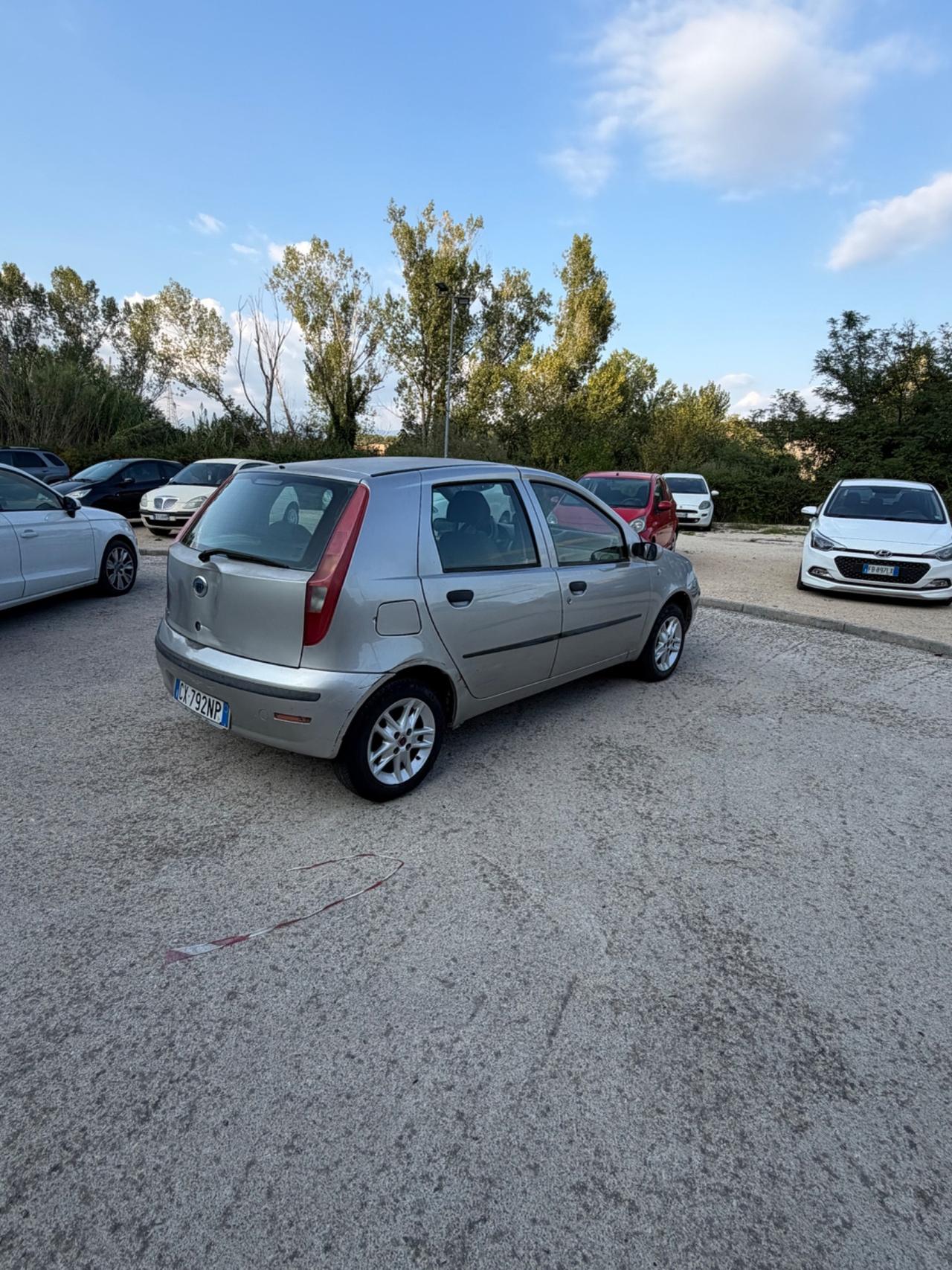 Fiat Punto 1.2 5 porte Dynamic