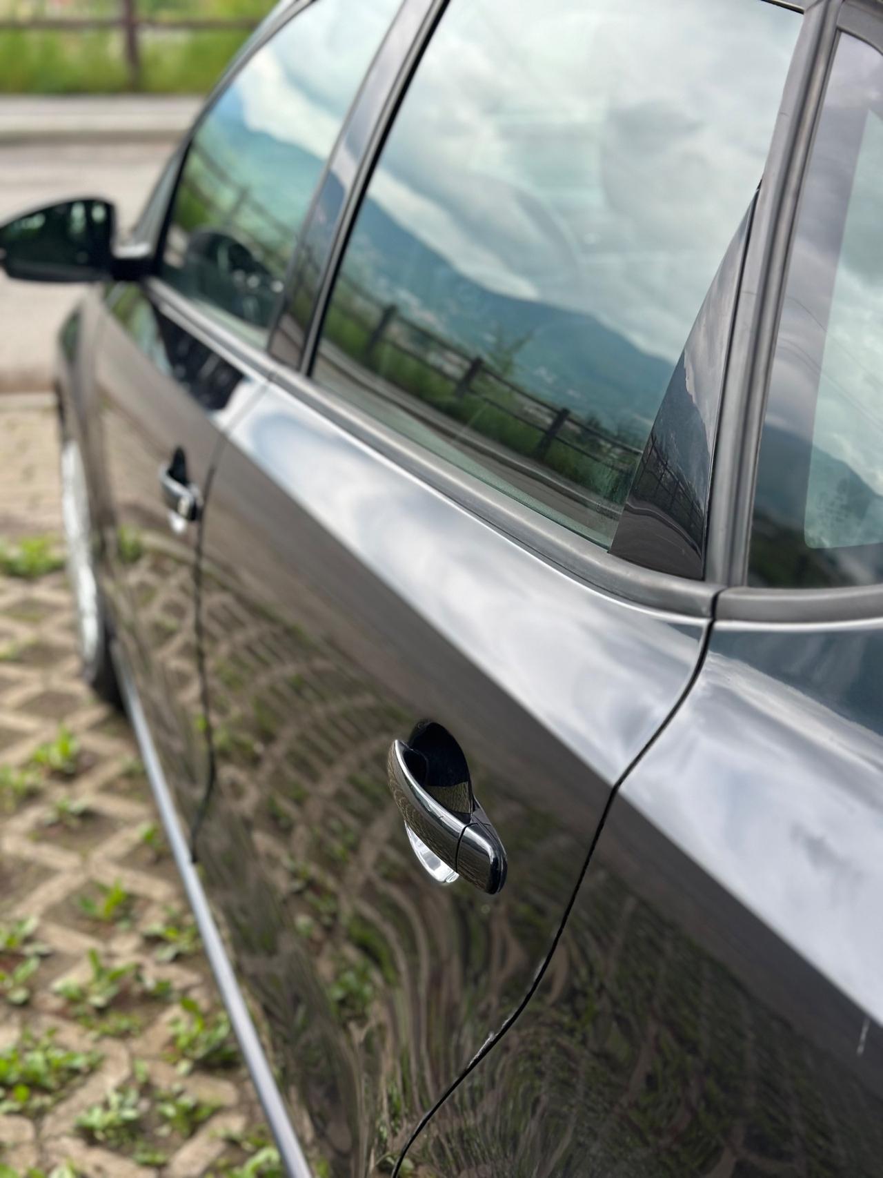 Volkswagen Polo 1.4 TDI 5p. Business
