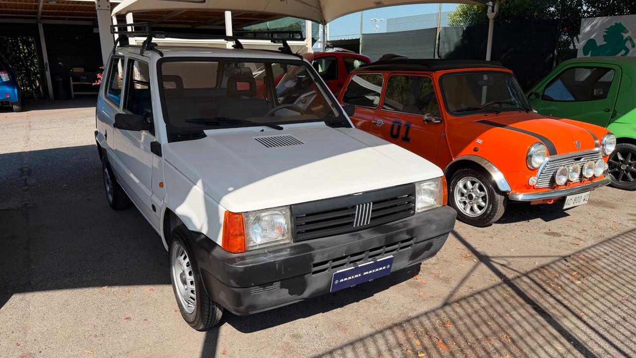 Fiat Panda 900 i.e. cat Young