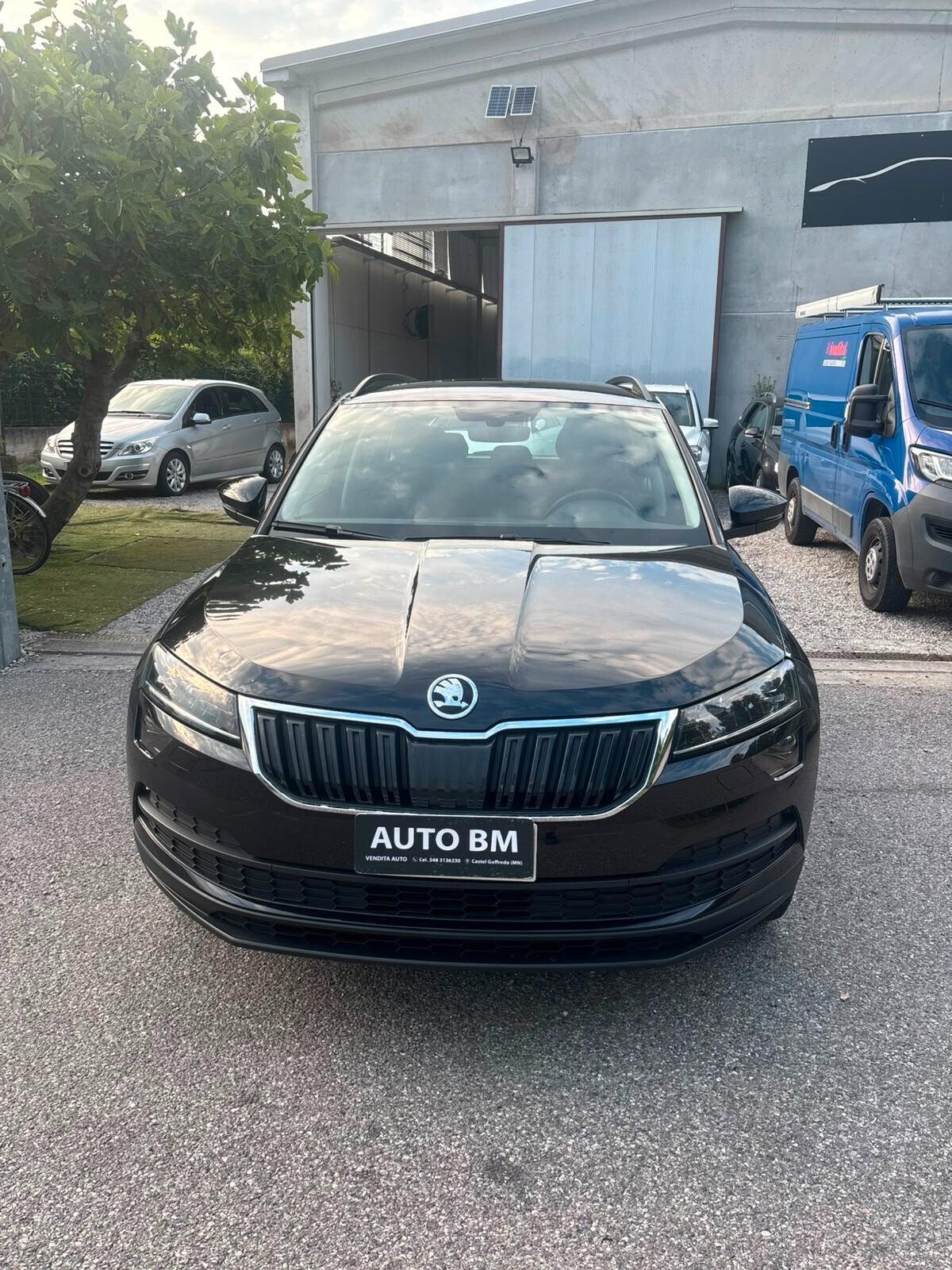 Skoda Karoq 2.0 TDI EVO SCR 115 CV DSG Executive