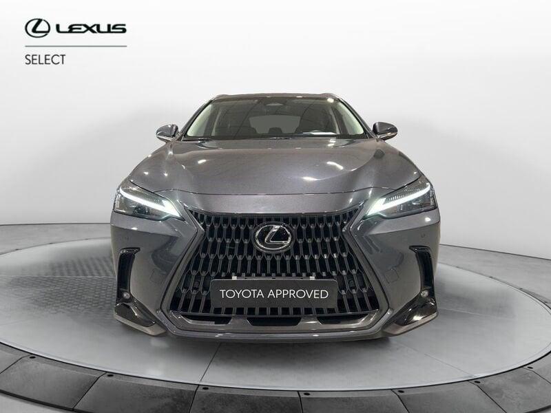 Lexus NX Hybrid 4WD Premium +