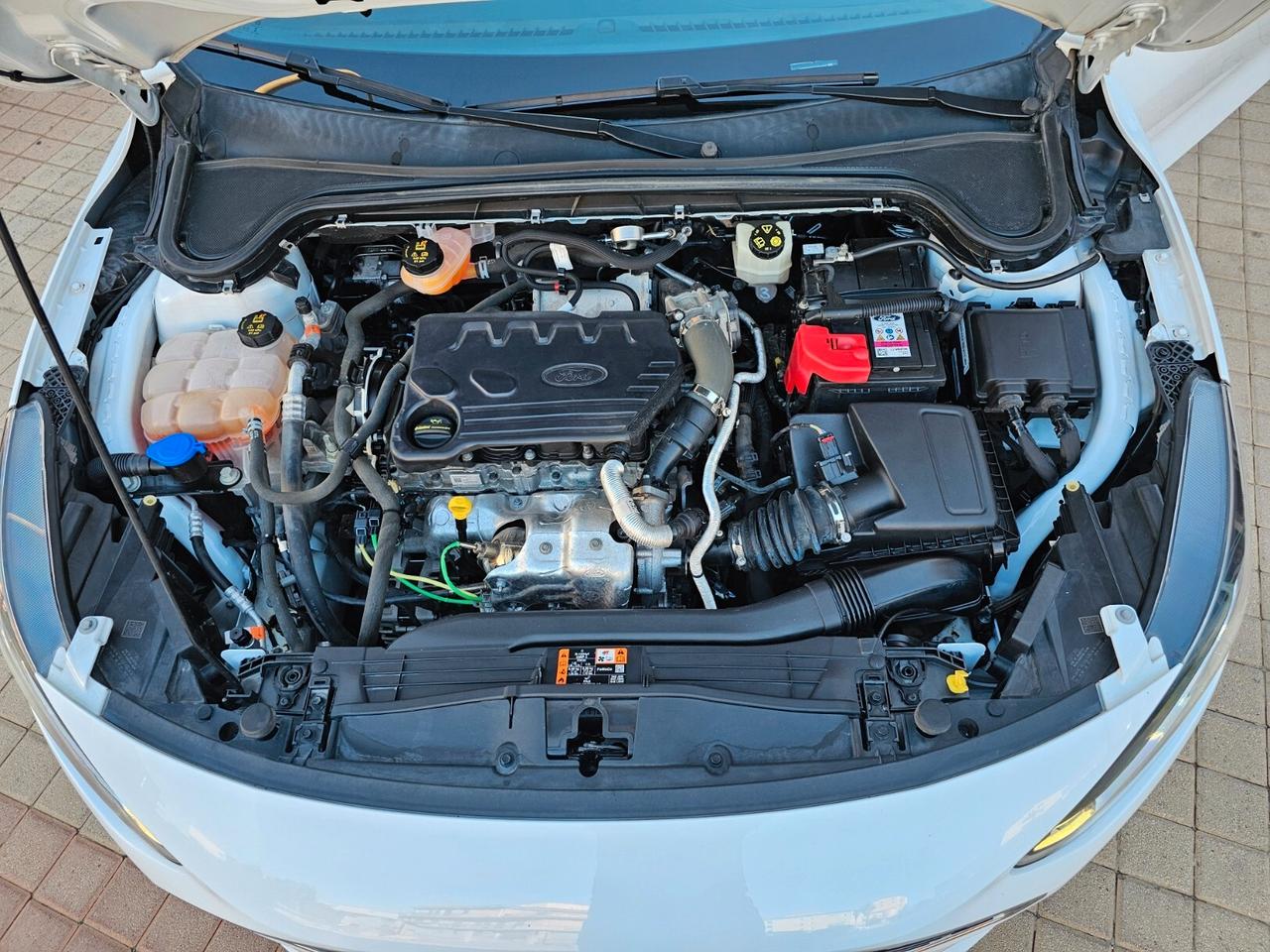 Ford Focus 1.5 EcoBlue 120 CV SW Business