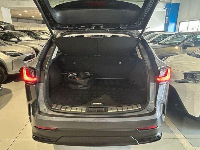 Lexus NX Plug-in Luxury 4WD MY22