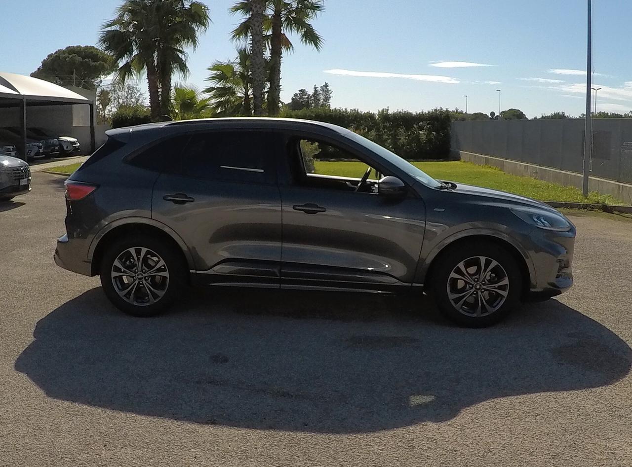 Ford Kuga 1.5 EcoBlue 120 CV aut. 2WD ST-Line