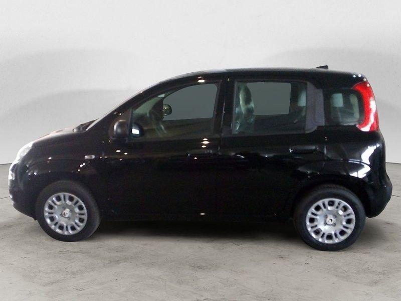 FIAT Panda NEW My25 1.0 70cv Hybrid Panda