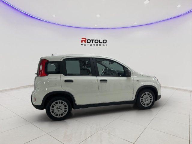 FIAT Panda 1.0 ADAS ICON Hybrid SENZA FINANZIAMENTO