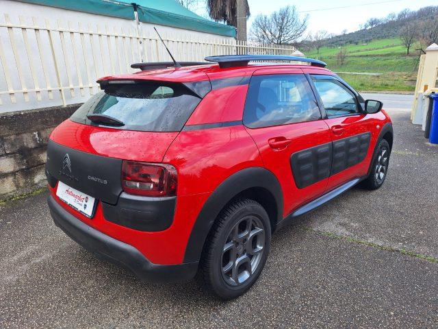 CITROEN C4 Cactus BlueHDi 100 Shine