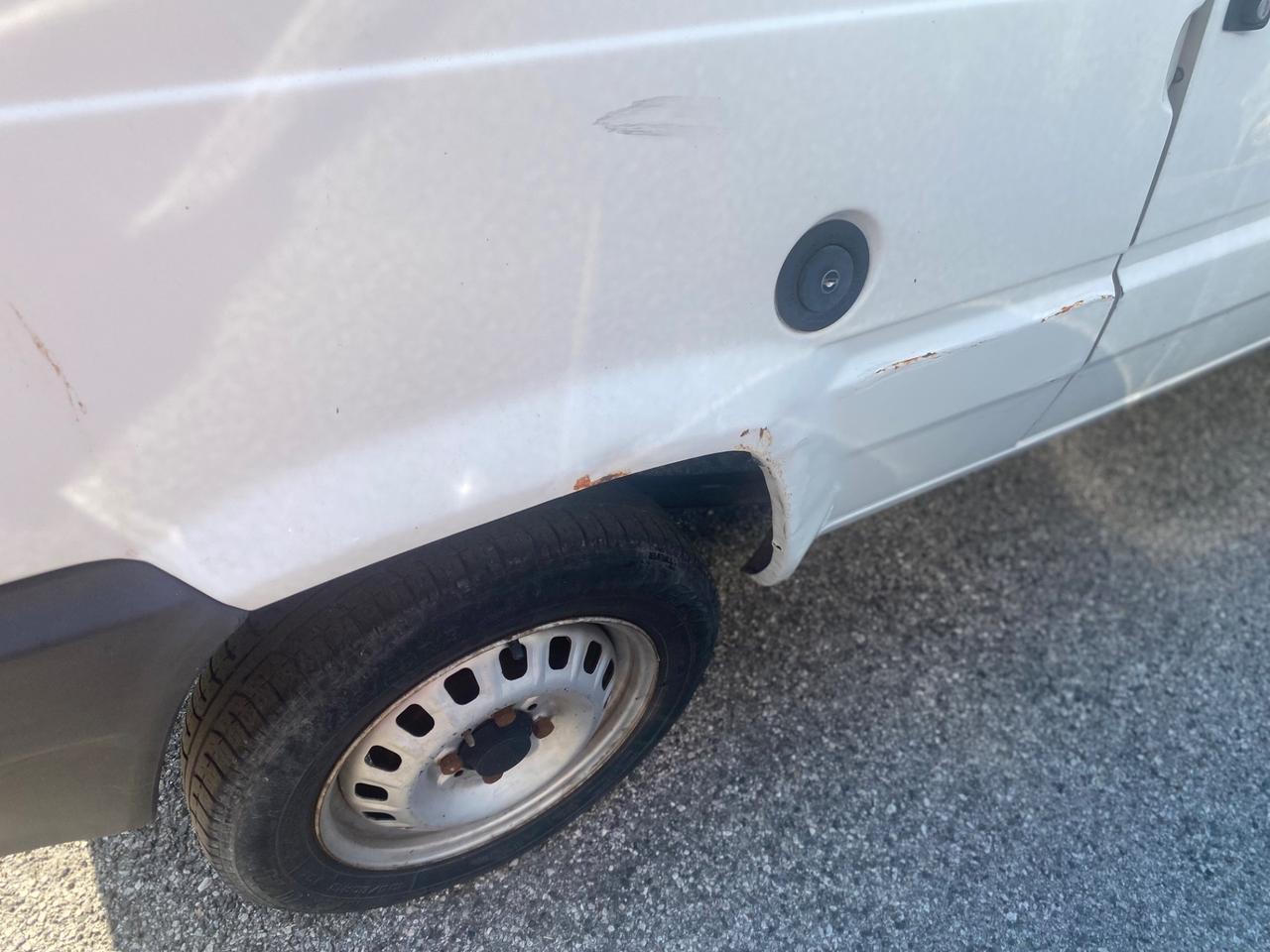 Fiat Panda 900 i.e. cat Young