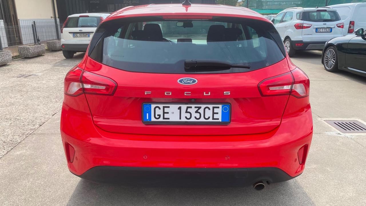 Ford Focus 1.5 EcoBlue 95 CV 5p. Business