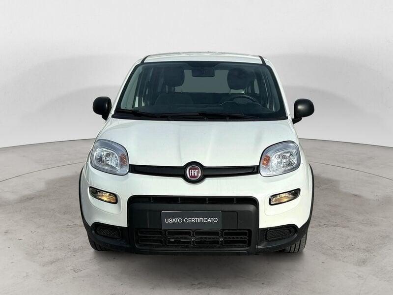 FIAT Panda 1.0 FireFly Hybrid 70 CV S&S