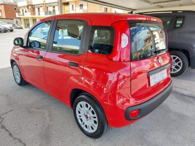 FIAT Panda 1.0 FireFly S&S Hybrid Uniprò Fatturab 5 posti