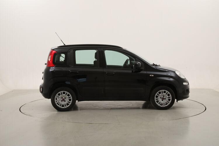 Fiat Panda Lounge BZ856030 1.2 Benzina 69CV