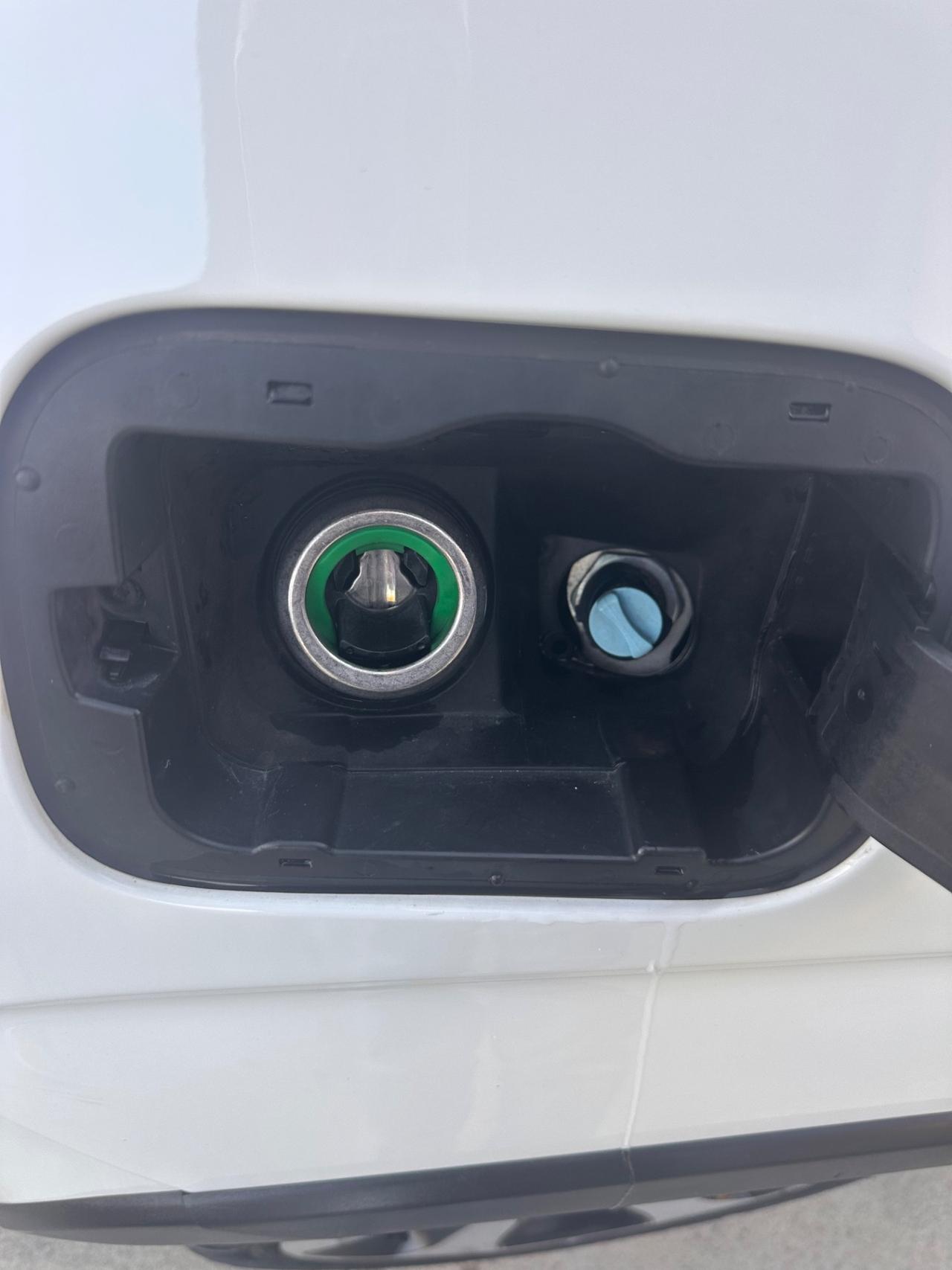 Fiat Panda Cross 1.2 Benz/GPL 69 CV 2022