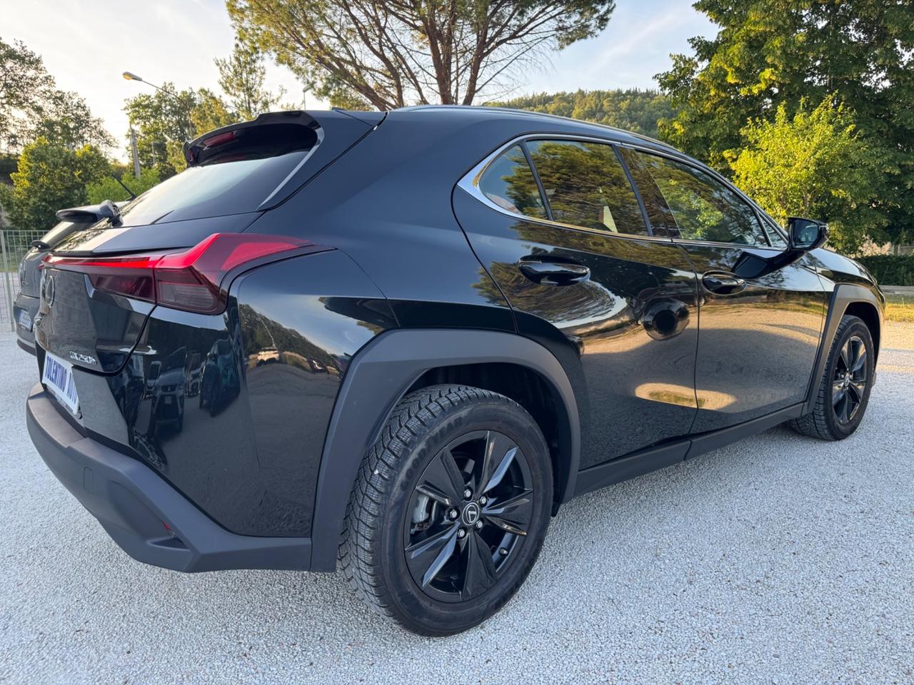 Lexus UX 250H 2.0 Hybrid 145Cv Design 2WD