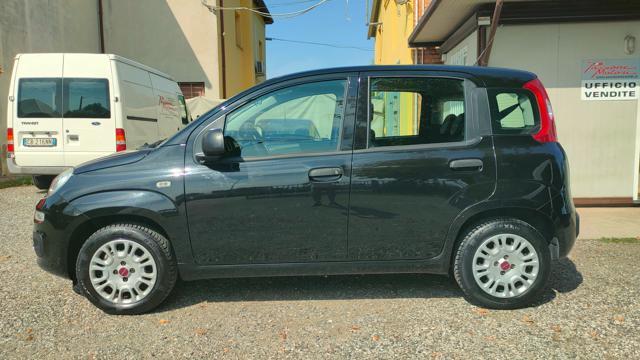 FIAT Panda 1.2 69 CV Easy BENZINA EURO 6