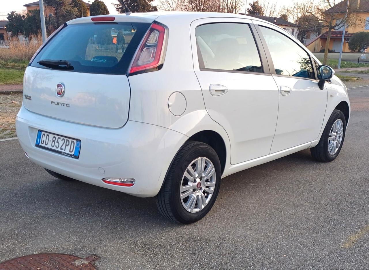 Fiat Punto Evo Punto Evo 1.4 5 porte Dynamic Natural Power