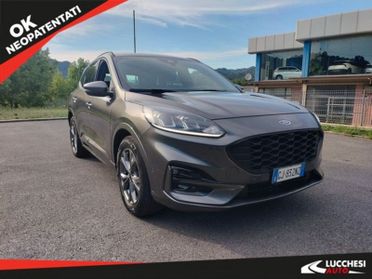 Ford Kuga Kuga 1.5 EcoBlue 120 CV 2WD ST-Line