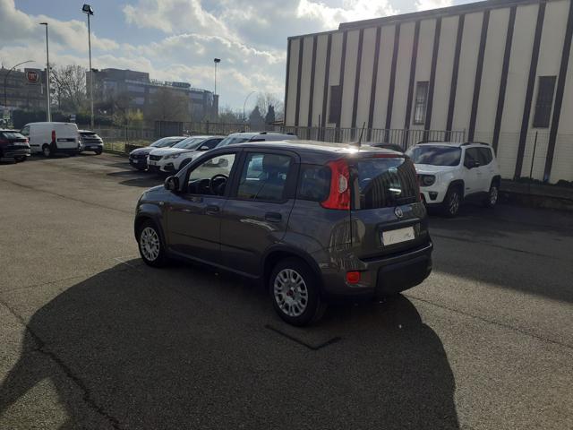 FIAT Panda PROMO FINANZIAMENTO 1.0 FireFly S&S Hybrid