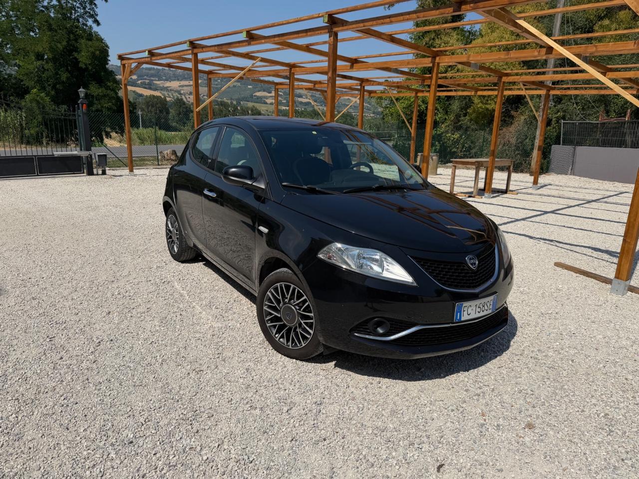 Lancia Ypsilon 1.3 MJT 16V 95 CV 5 porte S&S Platinum