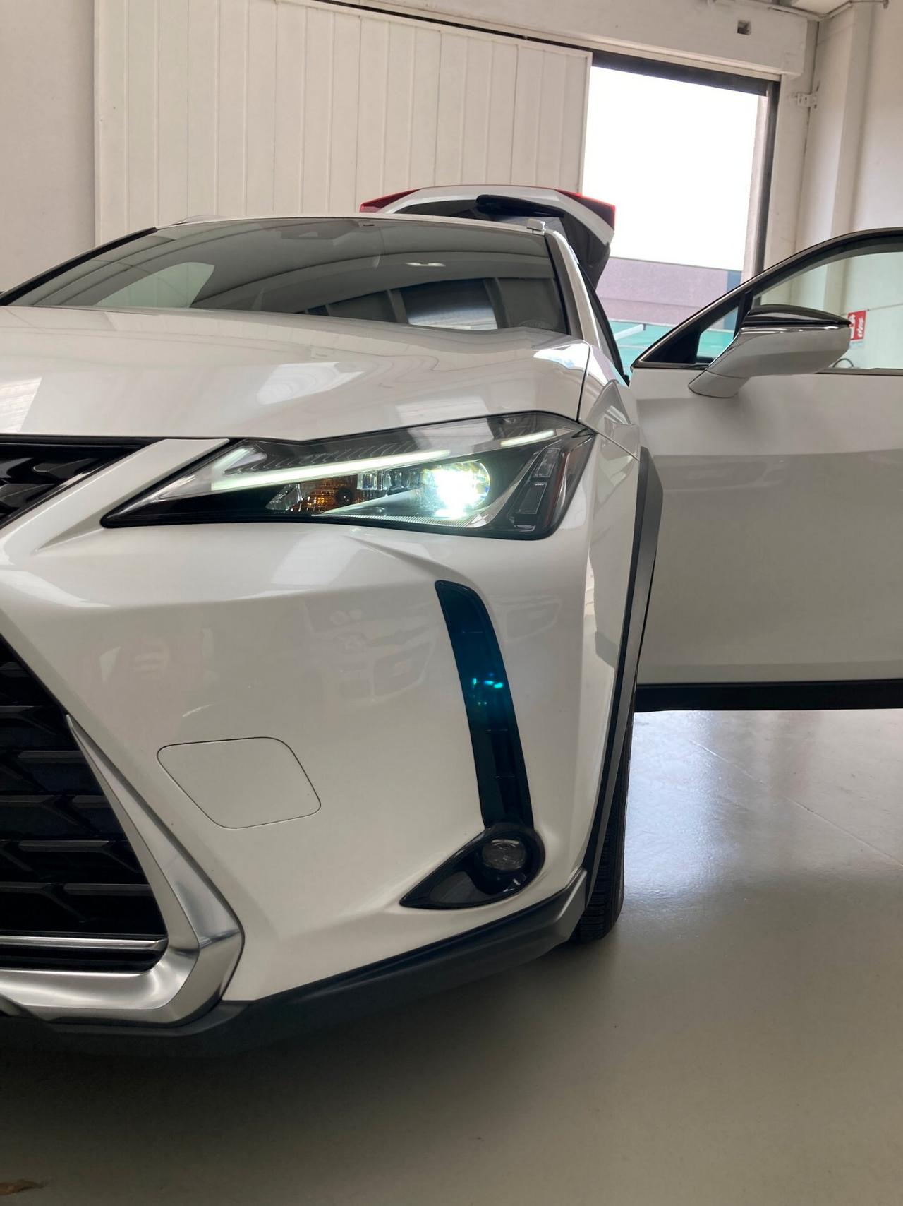 Lexus UX 250 Hybrid Executive