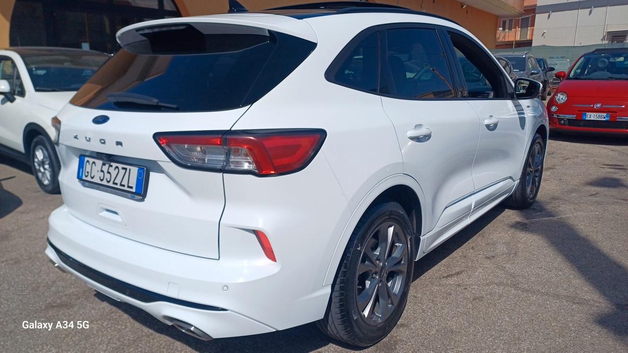Ford Kuga 1.5 EcoBlue 120 CV 2WD ST-Line