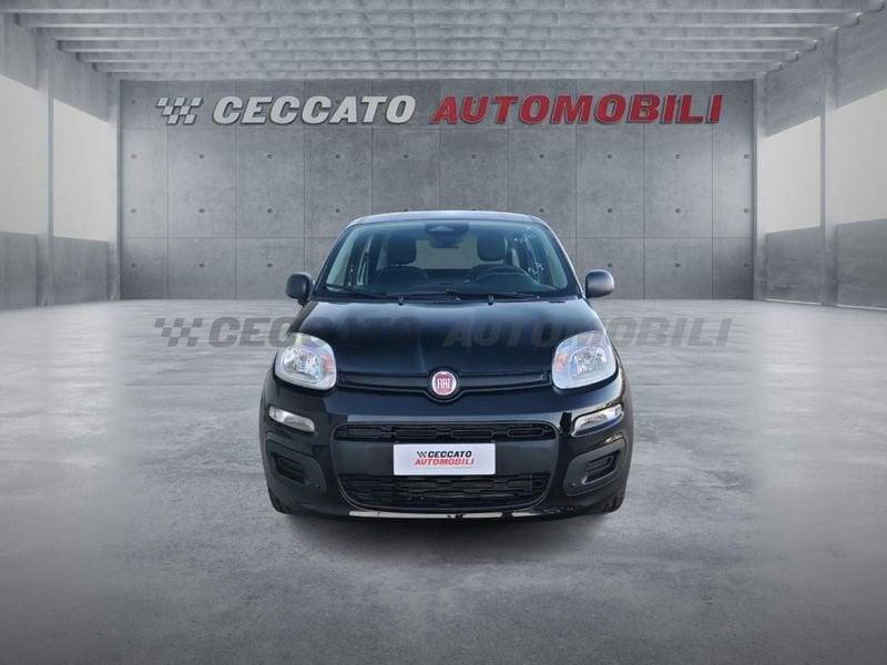 FIAT Pandina Pandina 1.0 65cv Hybrid Icon