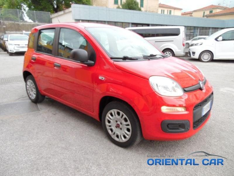 FIAT Panda Panda 1.2 IN OTTIME CONDIZIONI