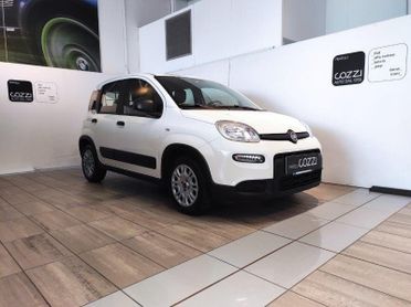 FIAT Panda 3ª serie - Panda 1.0 GSE S&S Hybrid Street Van 4 posti