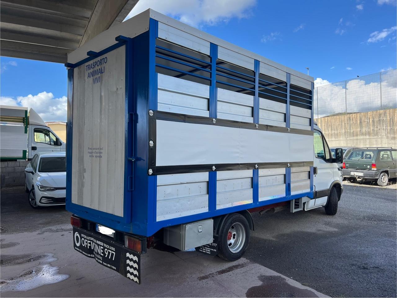 Iveco Daily 35c13 trasporto animali vivi Cavalli