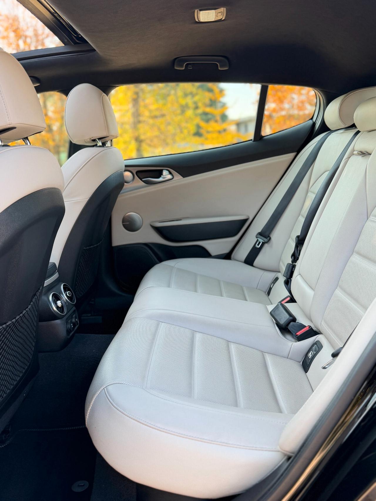 Kia Stinger 2.2 CRDi RWD AT8 GT Line