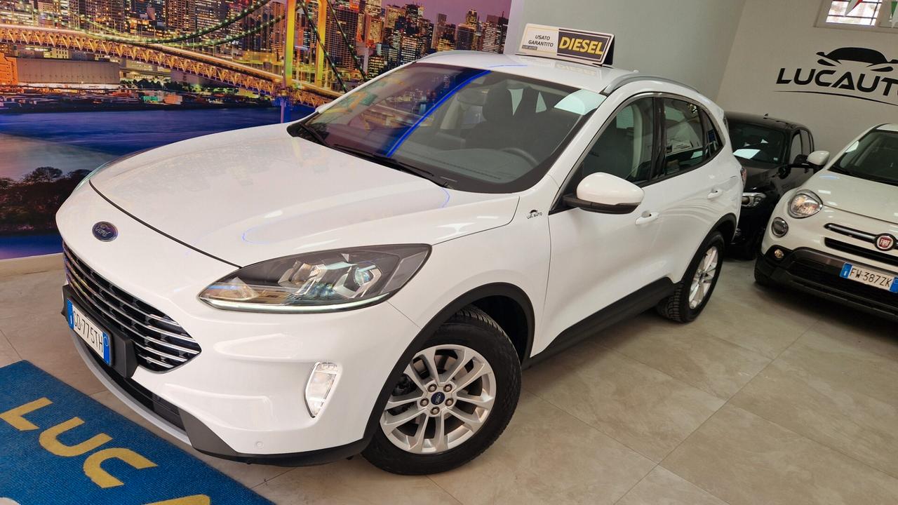 Ford Kuga 1.5 EcoBlue 120 CV aut. 2WD Titanium Business