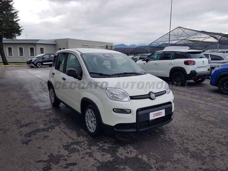 FIAT Panda Panda 1.0 70cv Hybrid Panda