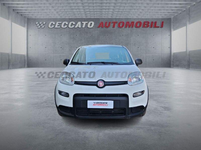 FIAT Panda Panda 1.0 firefly hybrid s&s 70cv