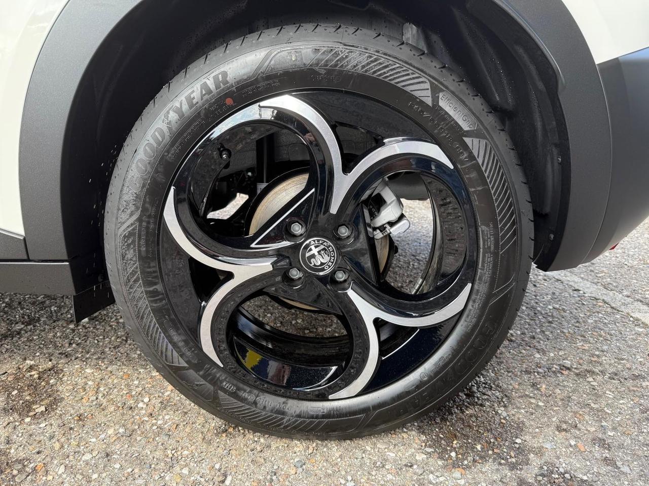 Alfa Romeo Junior 1.2 ibrida Speciale 145cv edct6