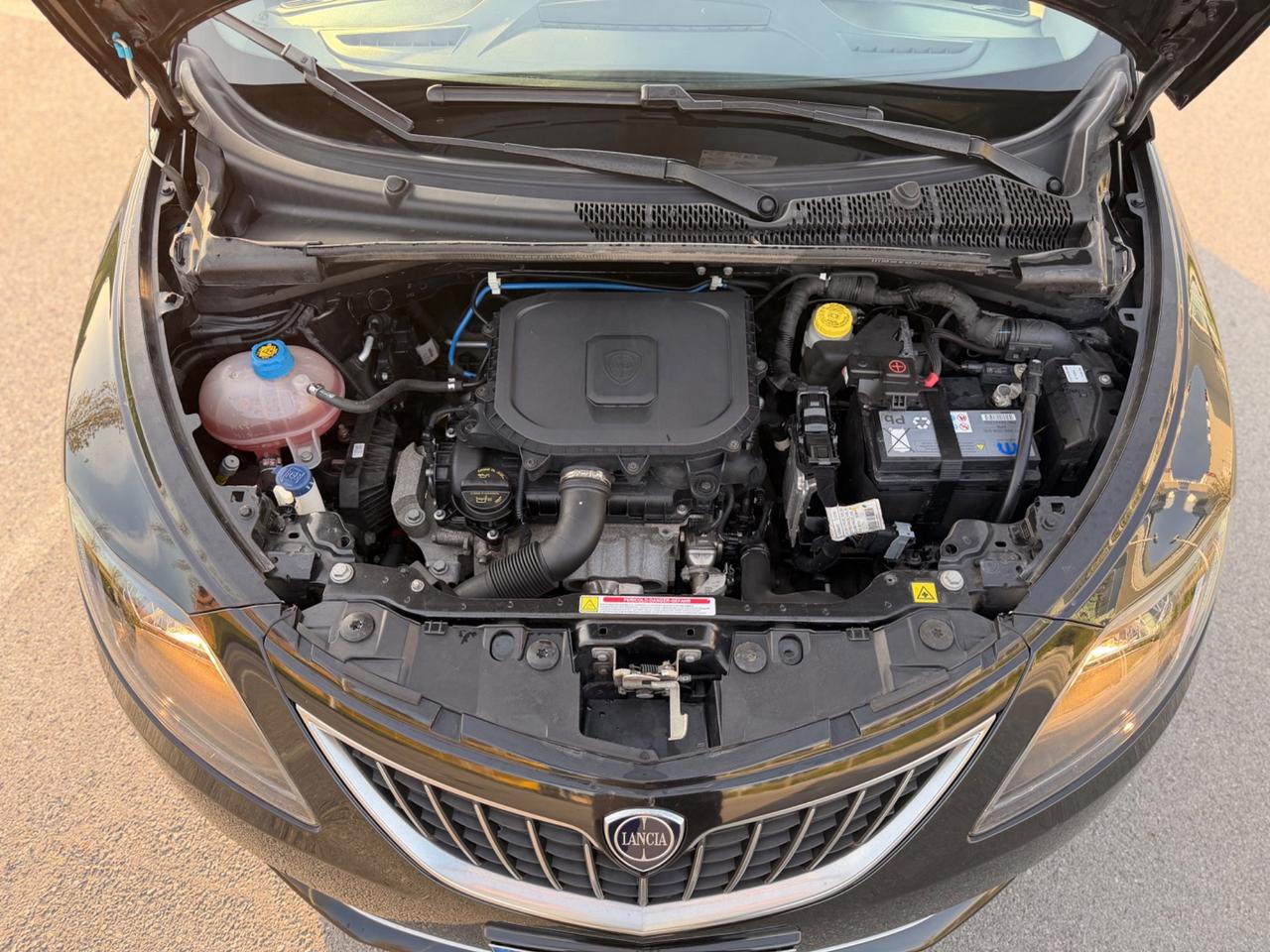 Lancia Ypsilon 1.0 FireFly 5 porte S&S Hybrid Alberta Ferretti